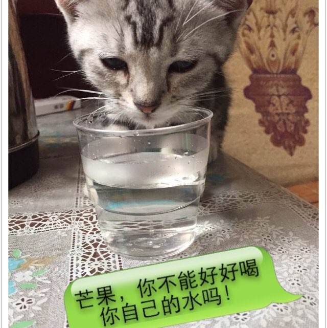 单位存款证明必须载明